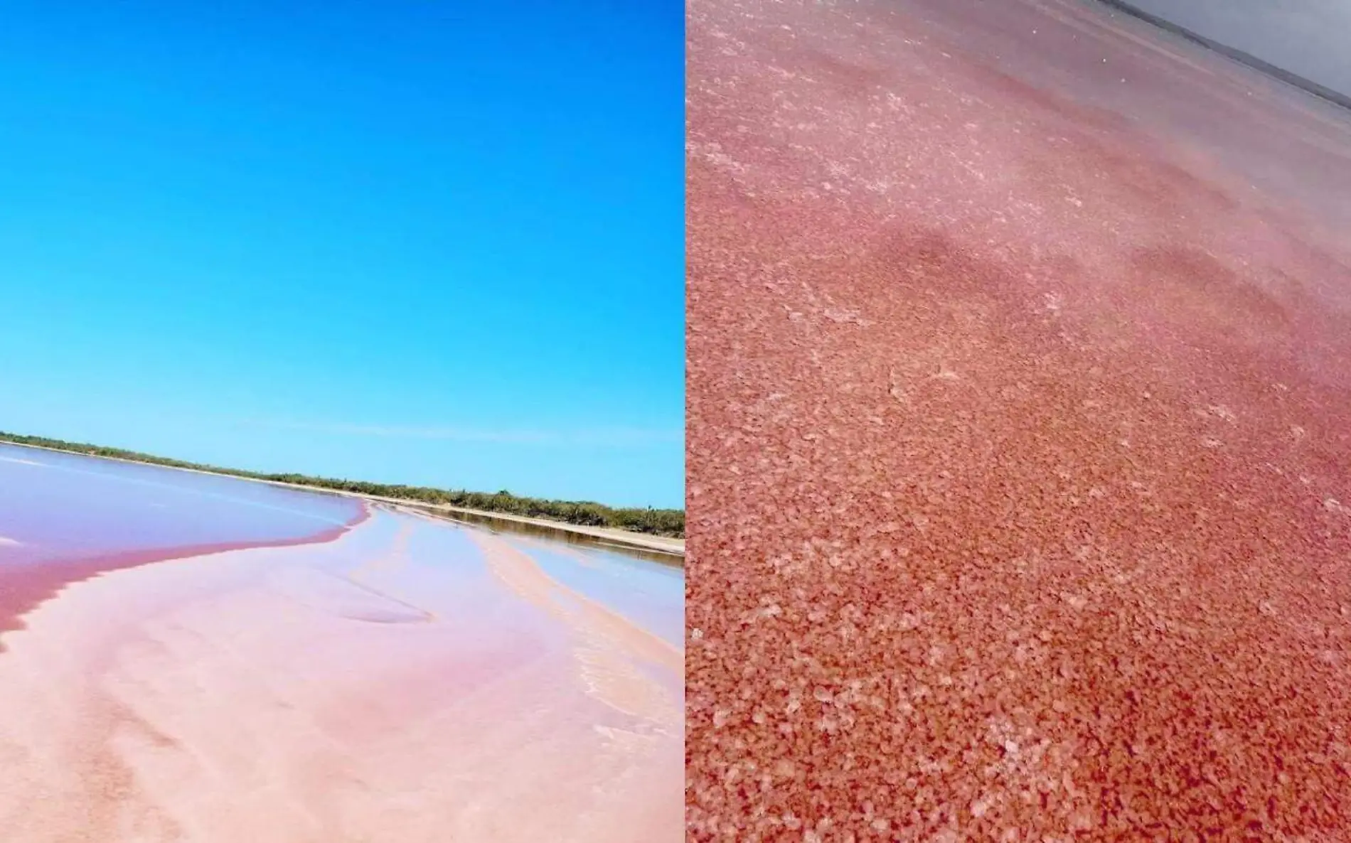 La Laguna Rosa de Soto La Marina, Tamaulipas ha cobrado gran popularidad entre los turistas debido a su increíble pigmentación Facebook